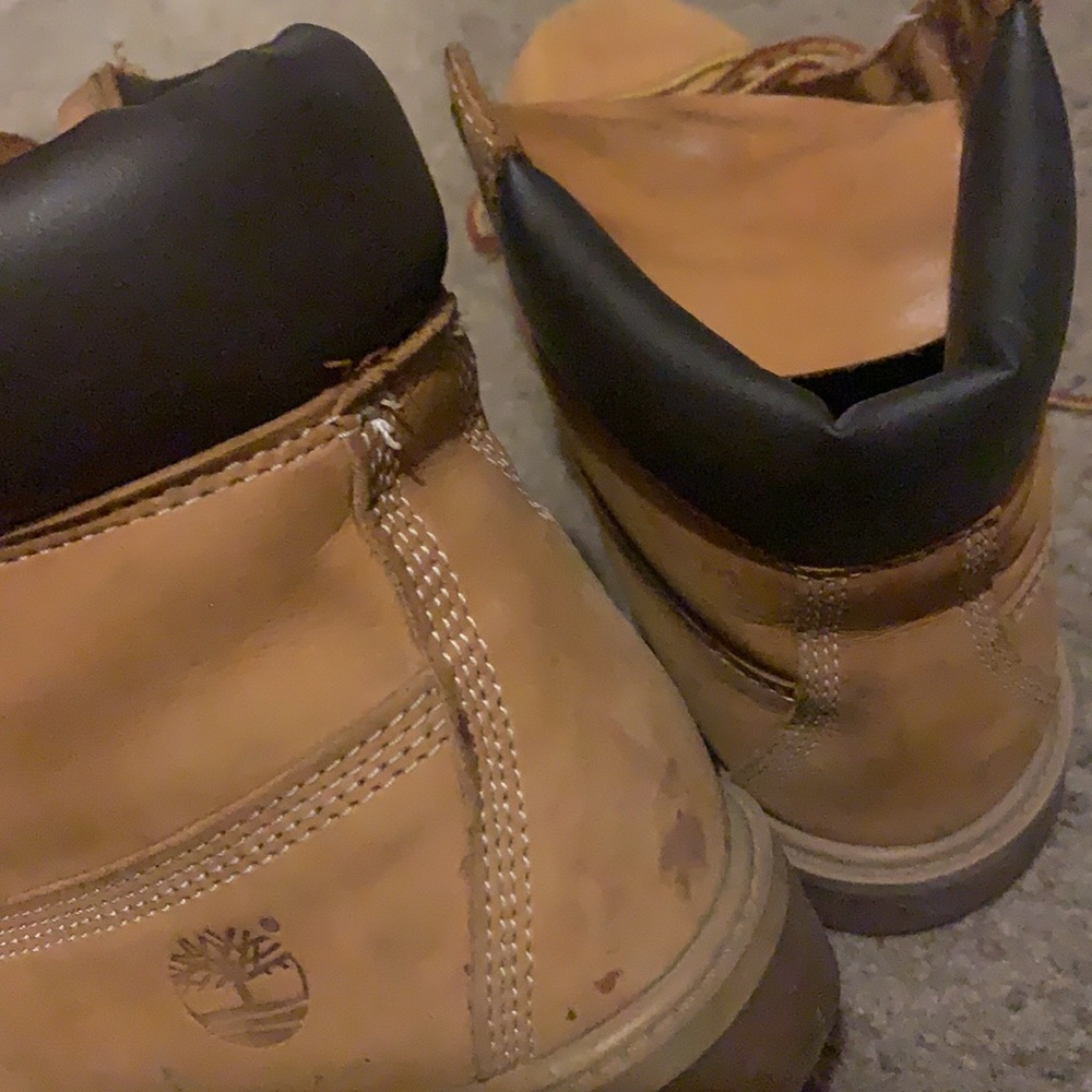 Timberlands - Picture 2 of 2